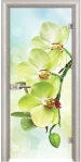 Стъклена Врата Efapel Print G 13-3 Green Бяла Мура