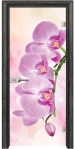 Стъклена Врата Efapel Print G 13-3 Pink Сив Ясен