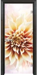 Стъклена Врата Efapel Print G 13-5 Палисандър
