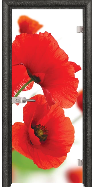 Стъклена Врата Efapel Print G 13-8 Сив Ясен